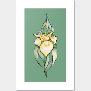 Yellow Iris Flower Posters and Art